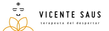 logo web vicente saus-vicentesaus.org