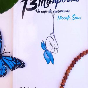 Libro 13 Mariposas - Novela-Vicente Saus-vicentesaus.org-portada